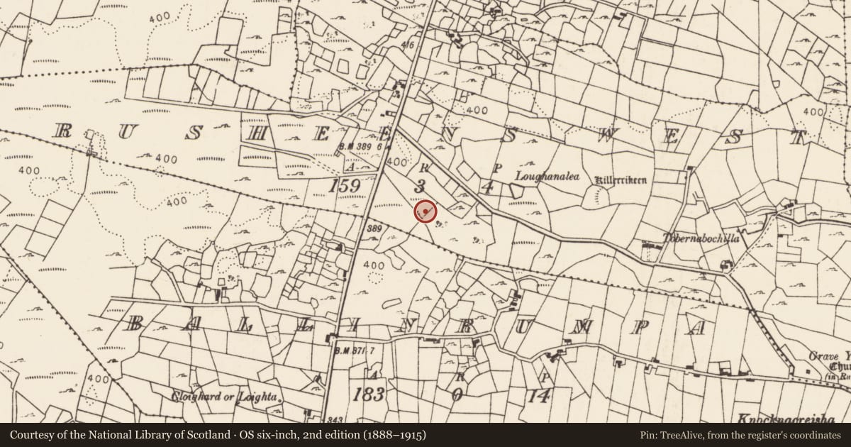 Ordnance Survey six-inch map, 2nd edition (1888–1915) covering the location of Fulacht fia, Rusheens West, County Mayo, with a pin at the register's coordinates