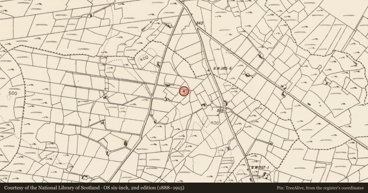 Ordnance Survey six-inch map, 2nd edition (1888–1915) covering the location of Children's burial ground, Lurga Upper, County Mayo, with a pin at the register's coordinates