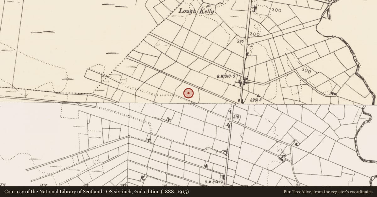 Ordnance Survey six-inch map, 2nd edition (1888–1915) covering the location of Enclosure - large enclosure, Aghadiffin, County Mayo, with a pin at the register's coordinates