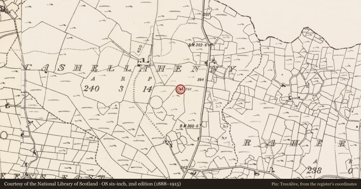 Ordnance Survey six-inch map, 2nd edition (1888–1915) covering the location of Ringfort - cashel, Cashellahenny, County Mayo, with a pin at the register's coordinates