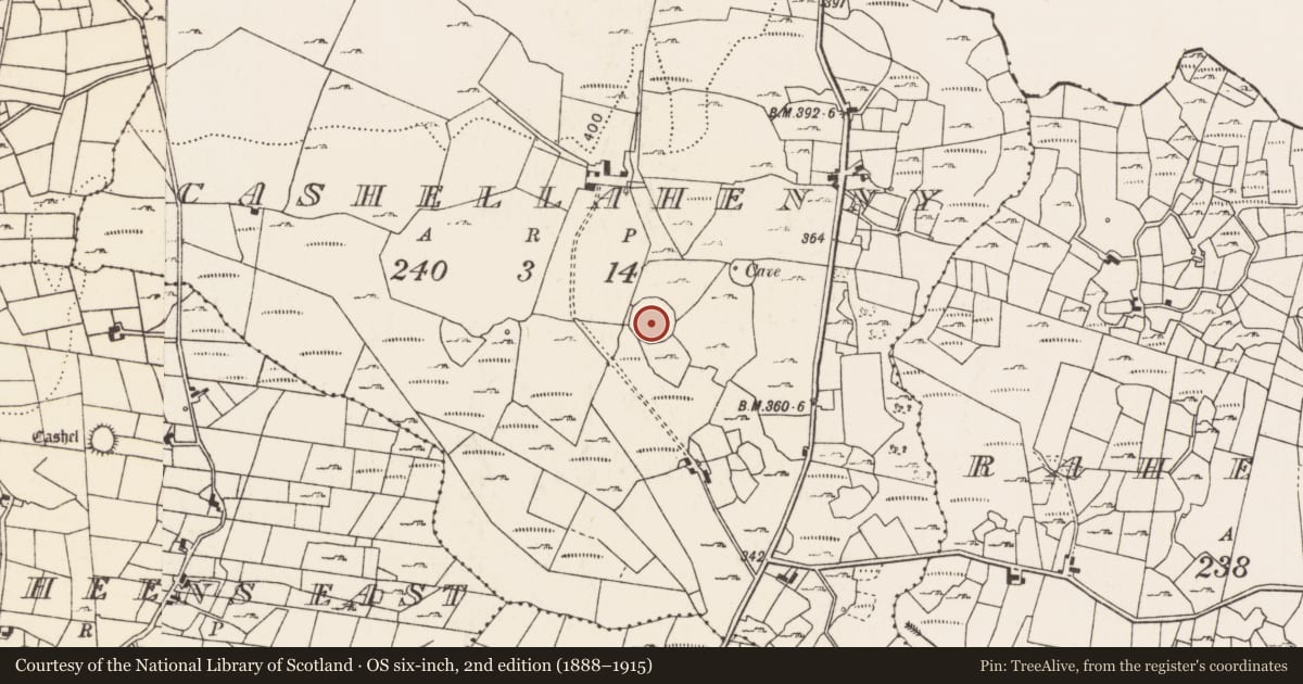 Ordnance Survey six-inch map, 2nd edition (1888–1915) covering the location of Enclosure, Cashellahenny, County Mayo, with a pin at the register's coordinates