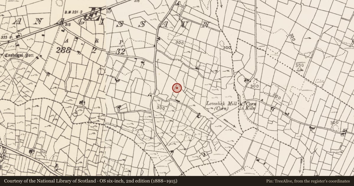 Ordnance Survey six-inch map, 2nd edition (1888–1915) covering the location of Fulacht fia, Ranagissaun, County Mayo, with a pin at the register's coordinates