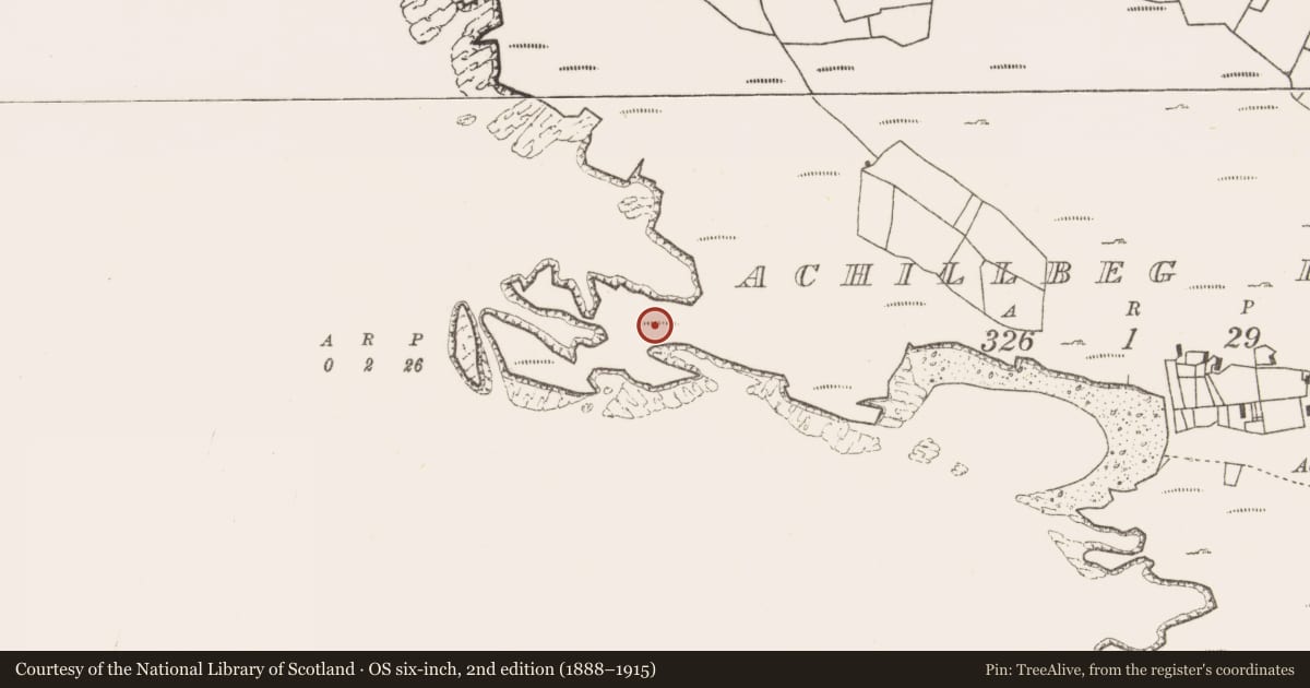 Ordnance Survey six-inch map, 2nd edition (1888–1915) covering the location of Bullaun stone, Acaill Bheag, County Mayo, with a pin at the register's coordinates