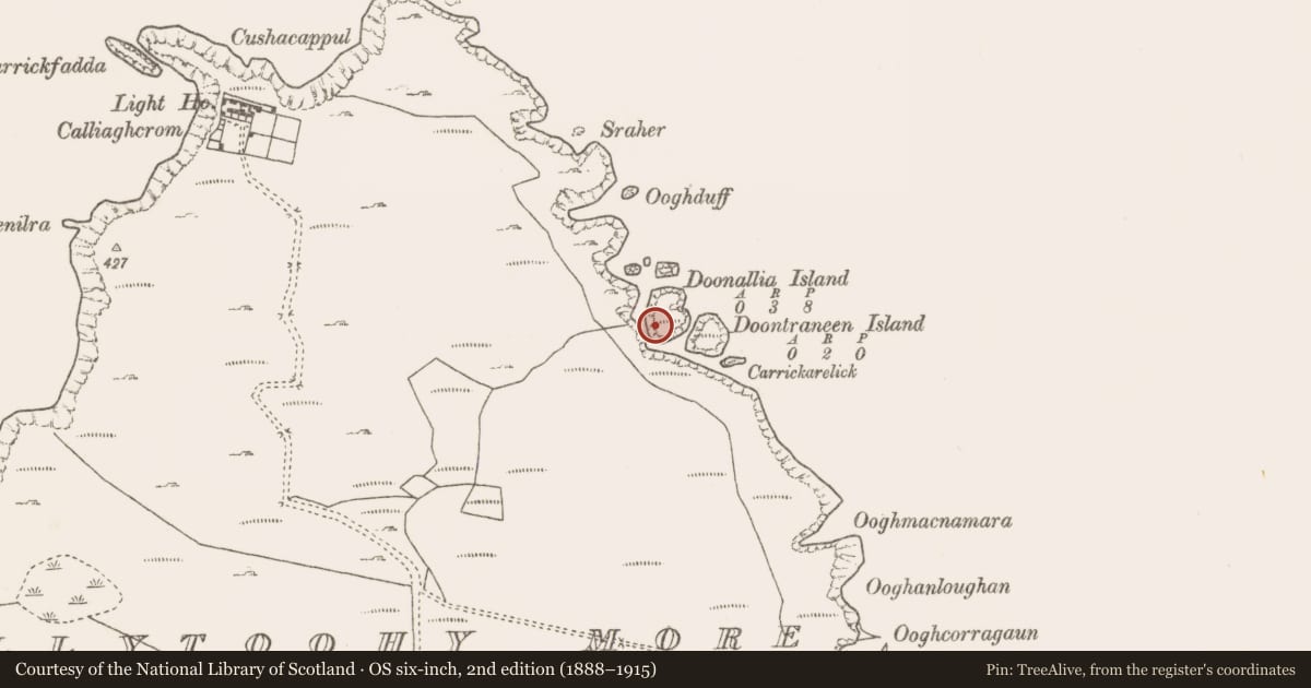 Ordnance Survey six-inch map, 2nd edition (1888–1915) covering the location of Hut site, Ballytoohy More, County Mayo, with a pin at the register's coordinates