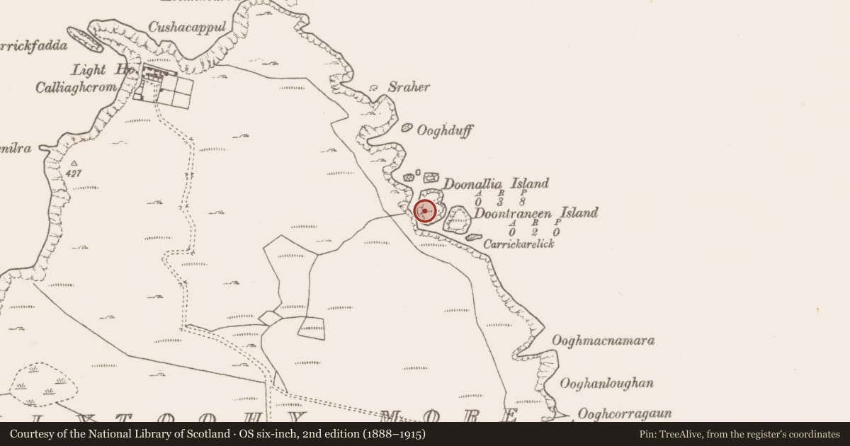 Ordnance Survey six-inch map, 2nd edition (1888–1915) covering the location of House - indeterminate date, Ballytoohy More, County Mayo, with a pin at the register's coordinates