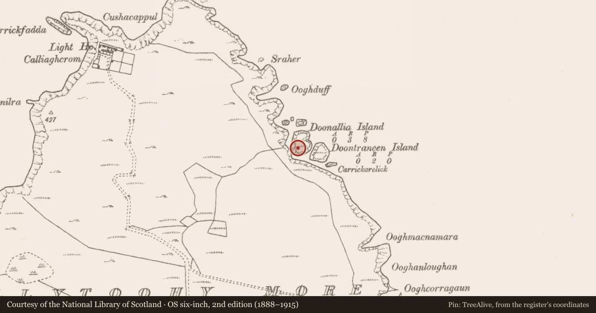 Ordnance Survey six-inch map, 2nd edition (1888–1915) covering the location of House - indeterminate date, Ballytoohy More, County Mayo, with a pin at the register's coordinates