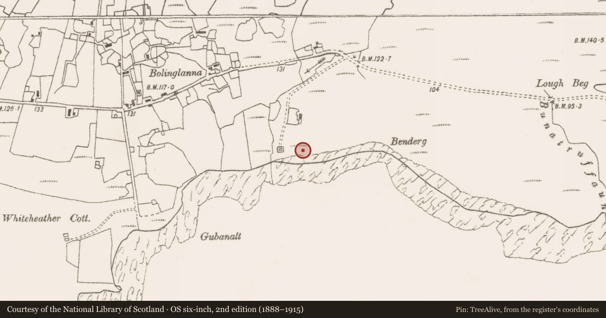 Ordnance Survey six-inch map, 2nd edition (1888–1915) covering the location of Mine, Buaile An Ghleanna, County Mayo, with a pin at the register's coordinates