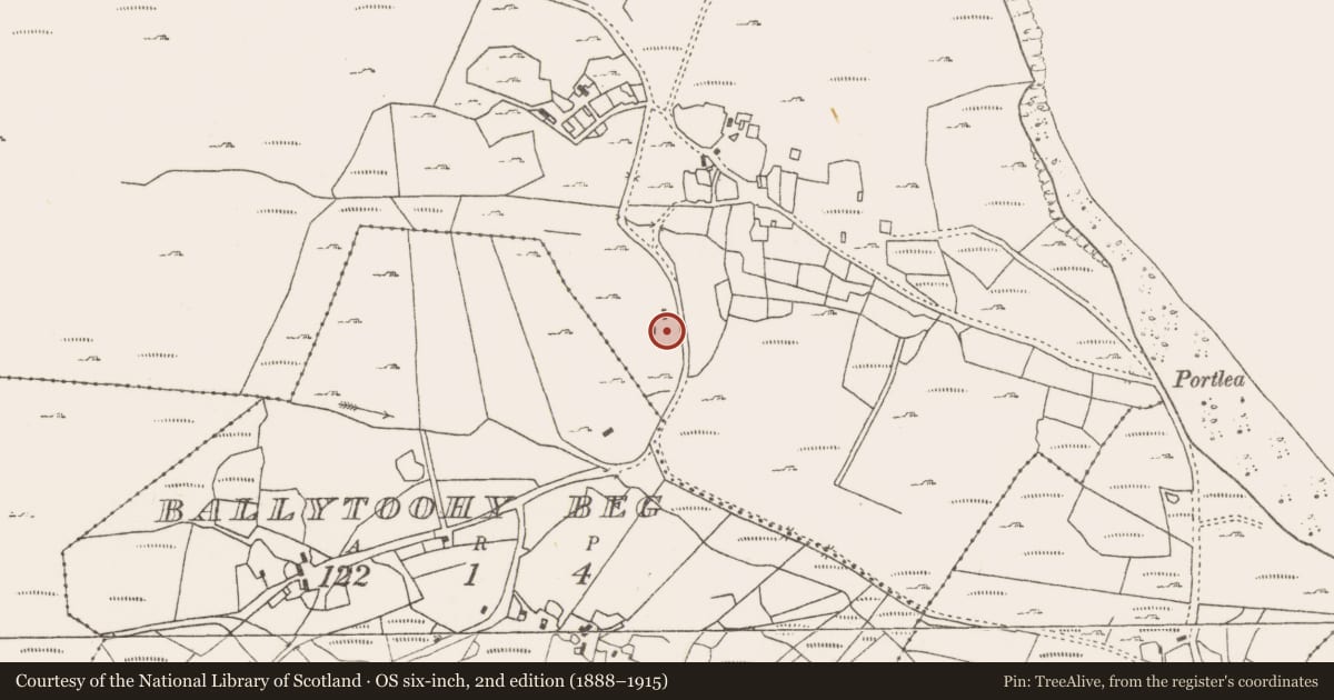 Ordnance Survey six-inch map, 2nd edition (1888–1915) covering the location of Standing stone, Ballytoohy More, County Mayo, with a pin at the register's coordinates