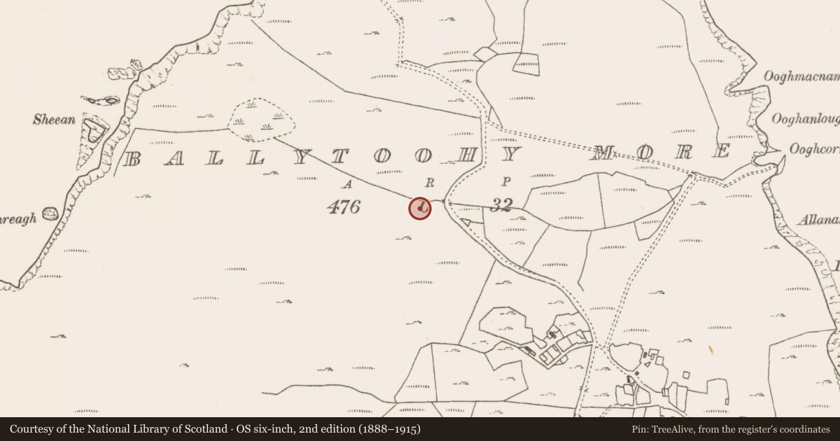 Ordnance Survey six-inch map, 2nd edition (1888–1915) covering the location of Fulacht fia, Ballytoohy More, County Mayo, with a pin at the register's coordinates