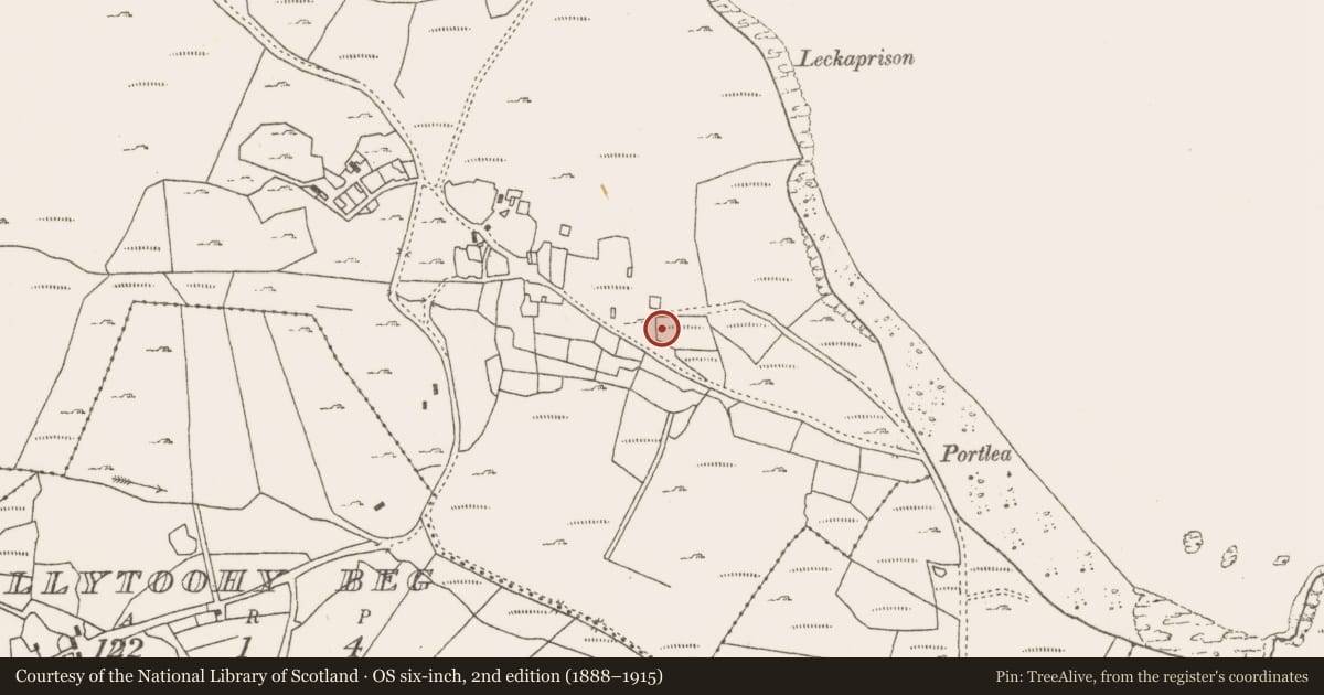 Ordnance Survey six-inch map, 2nd edition (1888–1915) covering the location of Enclosure, Ballytoohy More, County Mayo, with a pin at the register's coordinates