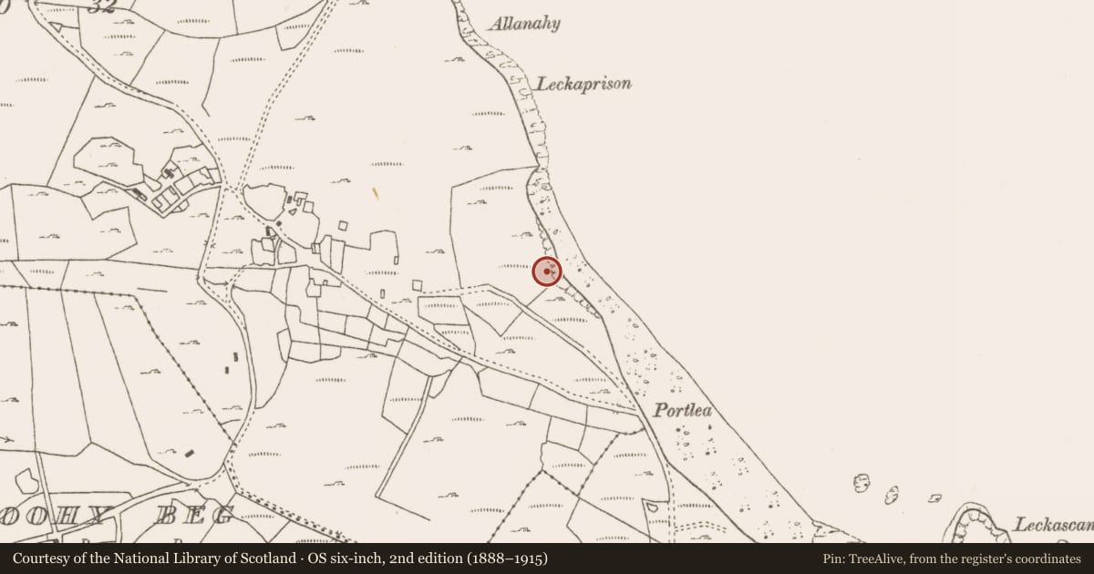 Ordnance Survey six-inch map, 2nd edition (1888–1915) covering the location of Enclosure, Ballytoohy More, County Mayo, with a pin at the register's coordinates