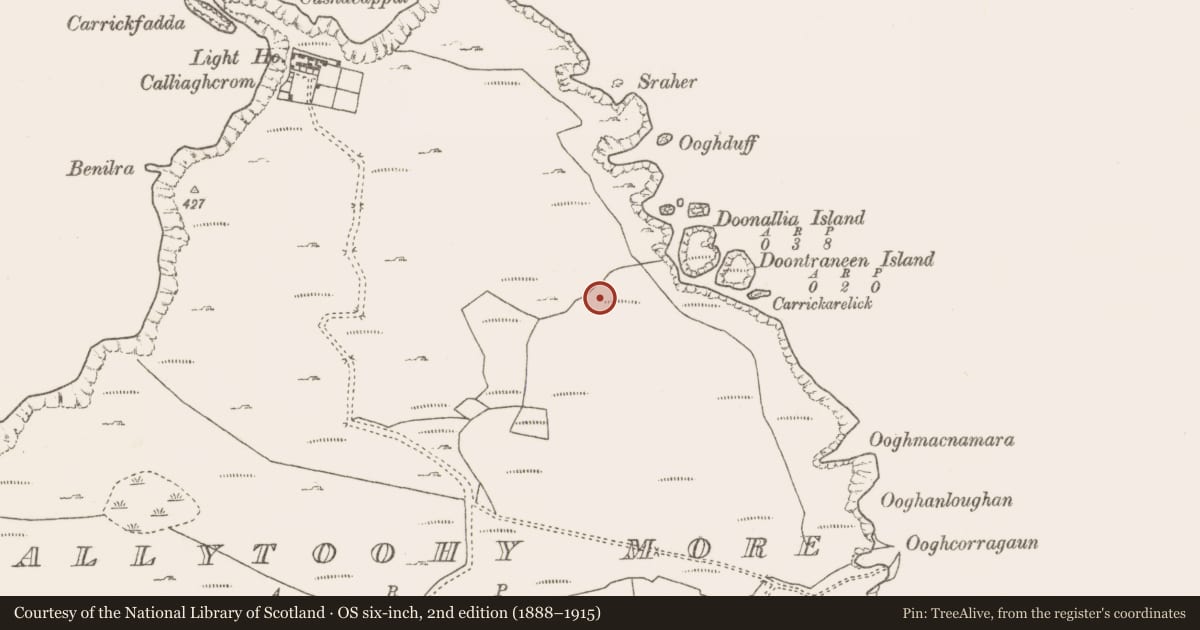 Ordnance Survey six-inch map, 2nd edition (1888–1915) covering the location of Fulacht fia, Ballytoohy More, County Mayo, with a pin at the register's coordinates