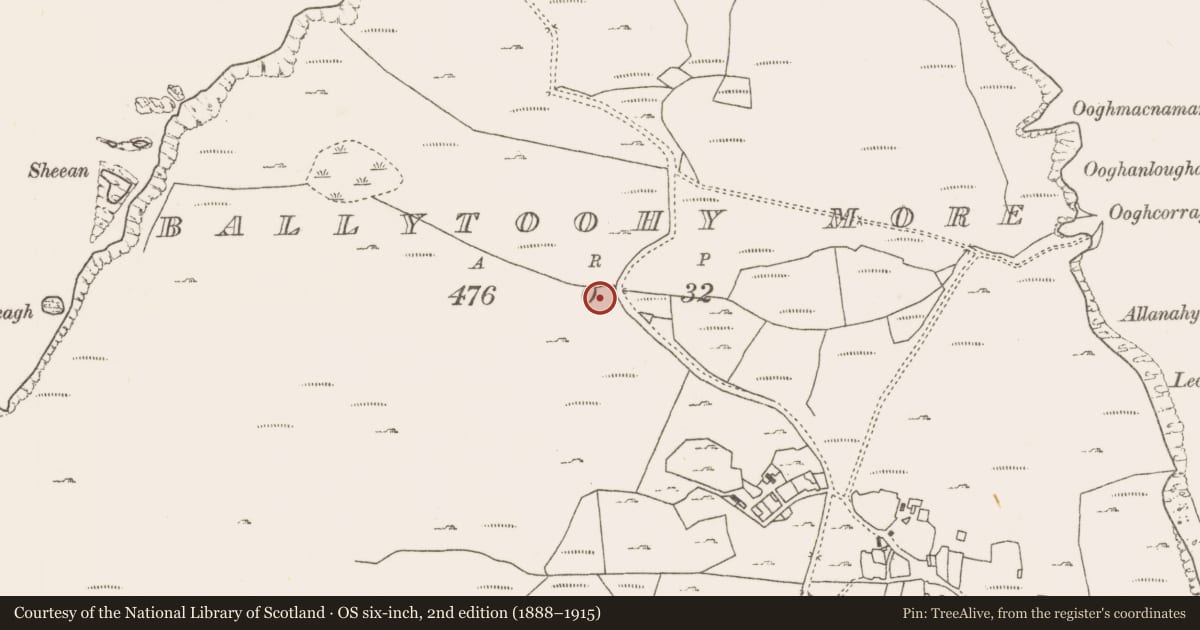 Ordnance Survey six-inch map, 2nd edition (1888–1915) covering the location of House - indeterminate date, Ballytoohy More, County Mayo, with a pin at the register's coordinates