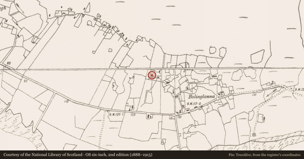 Ordnance Survey six-inch map, 2nd edition (1888–1915) covering the location of Rock art, Buaile An Ghleanna, County Mayo, with a pin at the register's coordinates