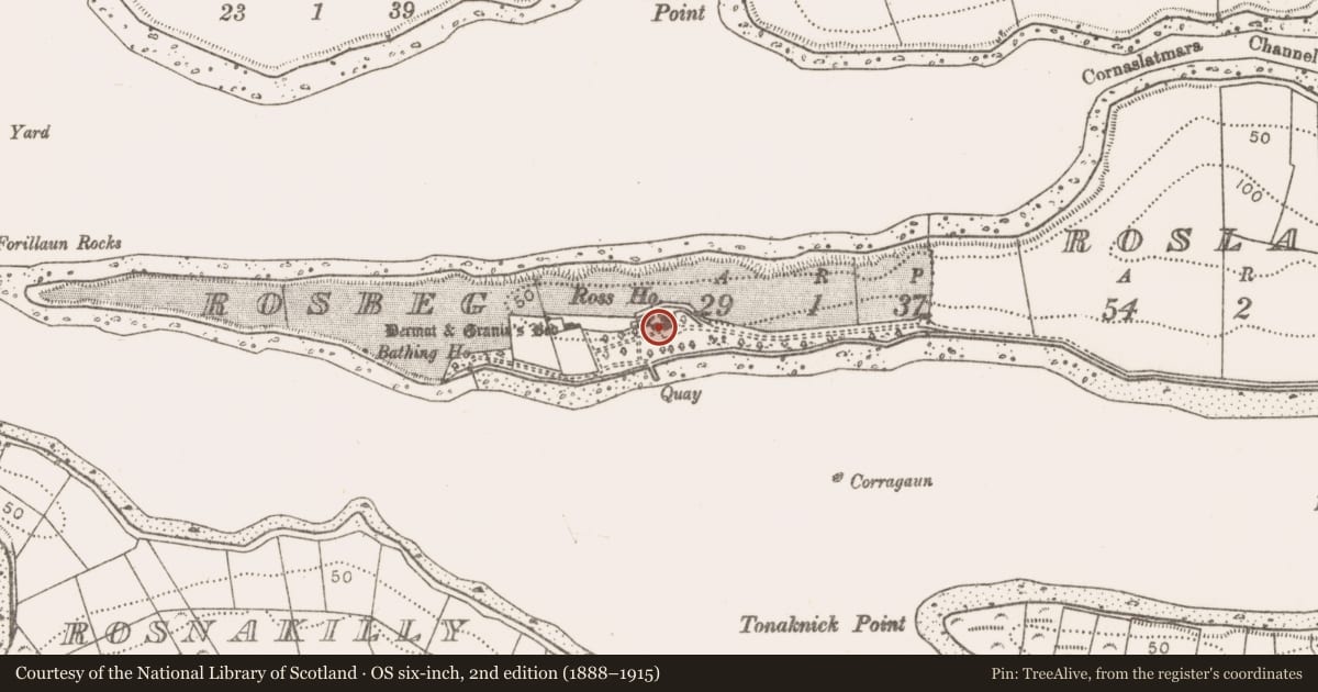Ordnance Survey six-inch map, 2nd edition (1888–1915) covering the location of Bullaun stone, Rosbeg, County Mayo, with a pin at the register's coordinates