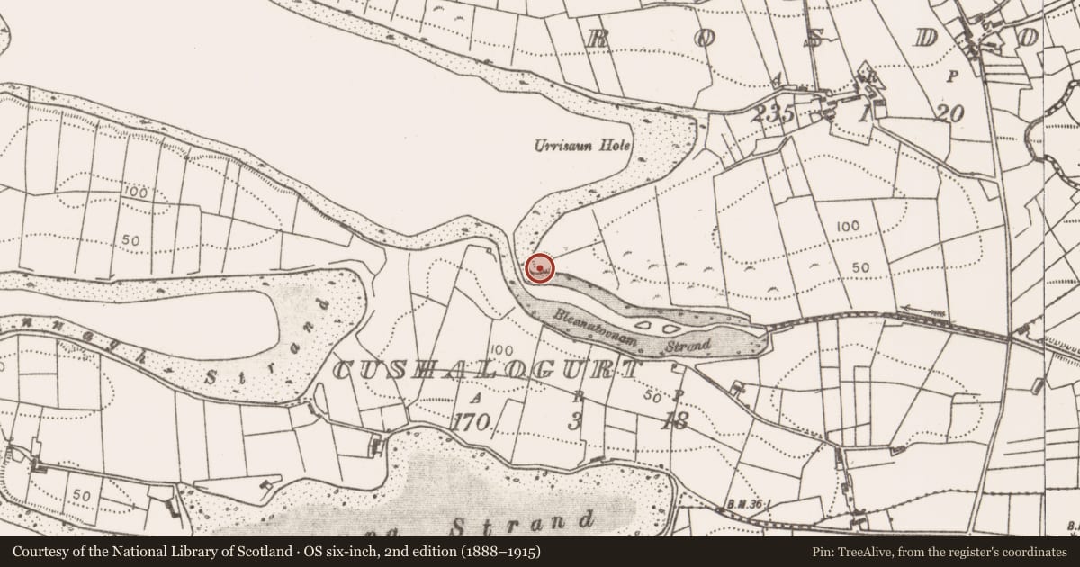 Ordnance Survey six-inch map, 2nd edition (1888–1915) covering the location of Enclosure, Rosdooaun, County Mayo, with a pin at the register's coordinates
