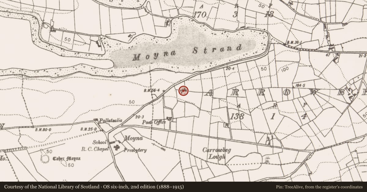 Ordnance Survey six-inch map, 2nd edition (1888–1915) covering the location of Mound, Carrowbeg (Burrishoole By., Kilmeena Par.), County Mayo, with a pin at the register's coordinates