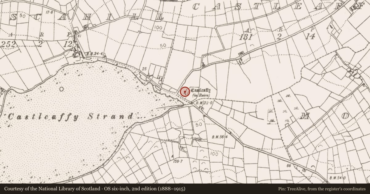 Ordnance Survey six-inch map, 2nd edition (1888–1915) covering the location of Castle - tower house, Castleaffy, County Mayo, with a pin at the register's coordinates
