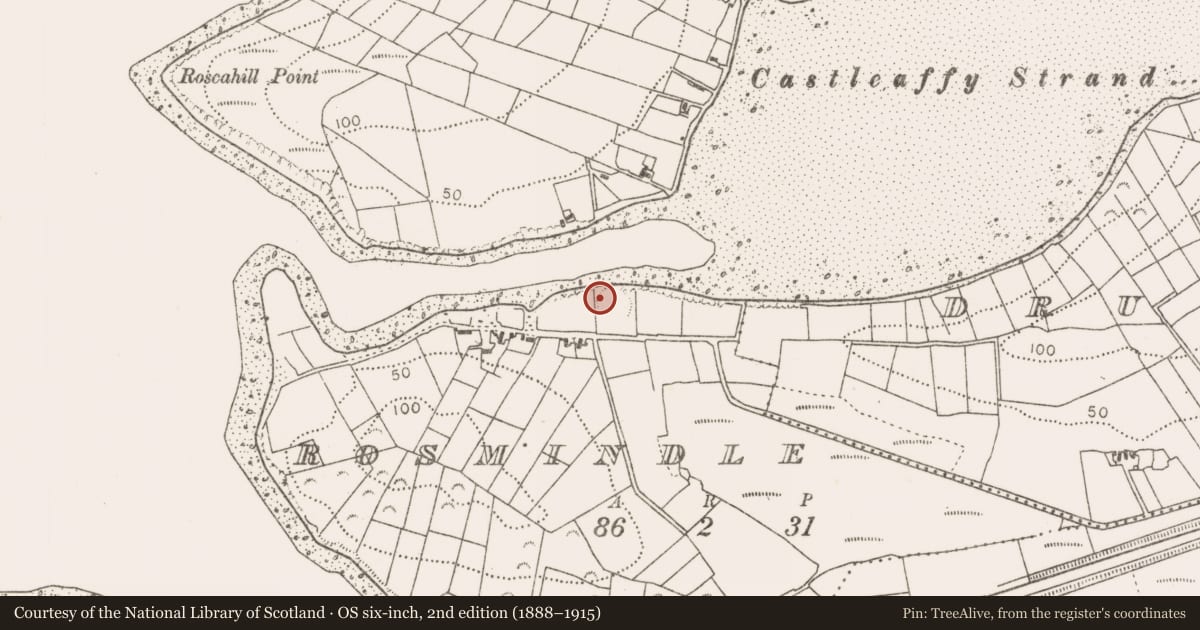 Ordnance Survey six-inch map, 2nd edition (1888–1915) covering the location of Enclosure, Rosmindle, County Mayo, with a pin at the register's coordinates