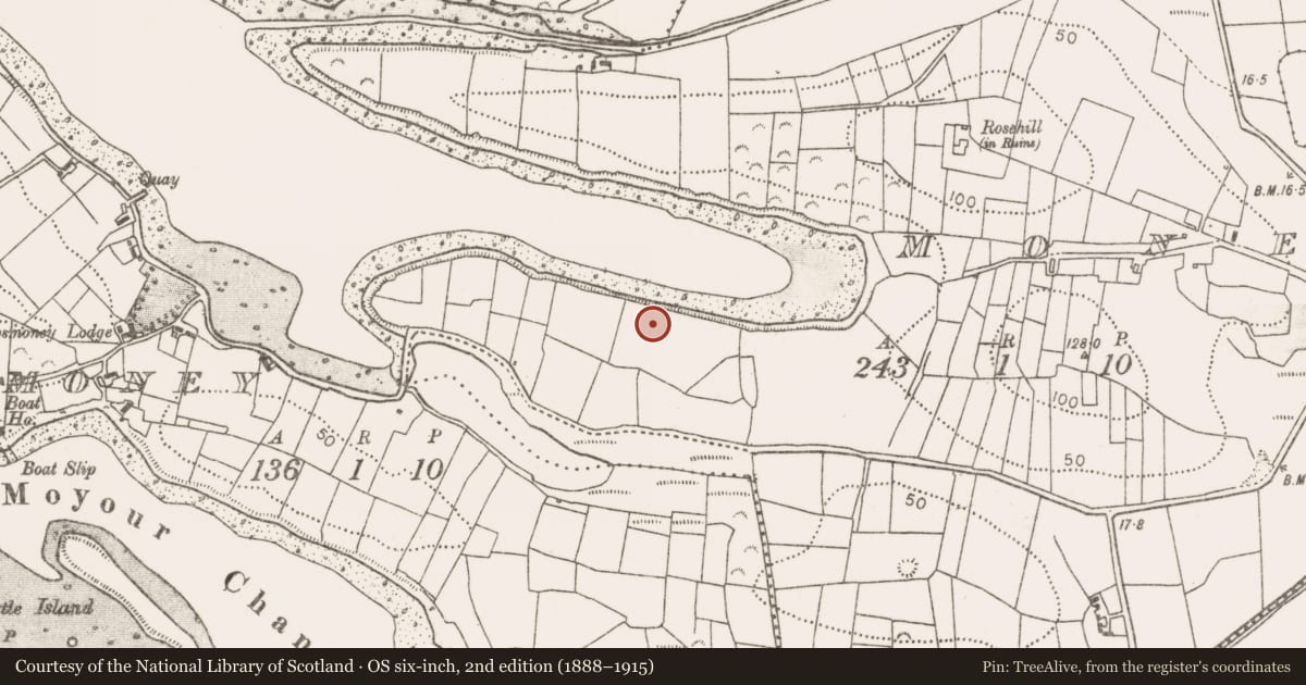Ordnance Survey six-inch map, 2nd edition (1888–1915) covering the location of Souterrain, Money, County Mayo, with a pin at the register's coordinates