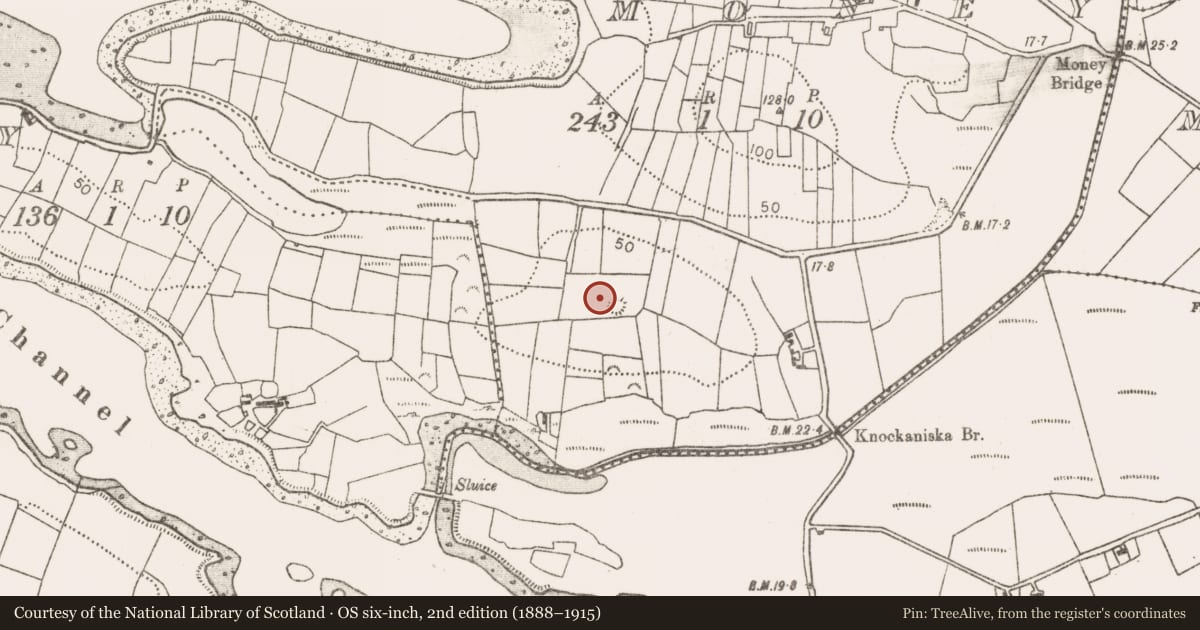 Ordnance Survey six-inch map, 2nd edition (1888–1915) covering the location of Enclosure, Money, County Mayo, with a pin at the register's coordinates