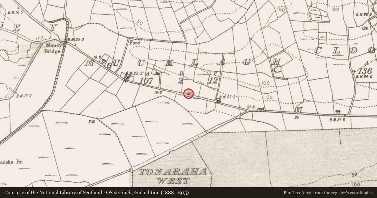 Ordnance Survey six-inch map, 2nd edition (1888–1915) covering the location of Ringfort - rath, Mucklagh, County Mayo, with a pin at the register's coordinates