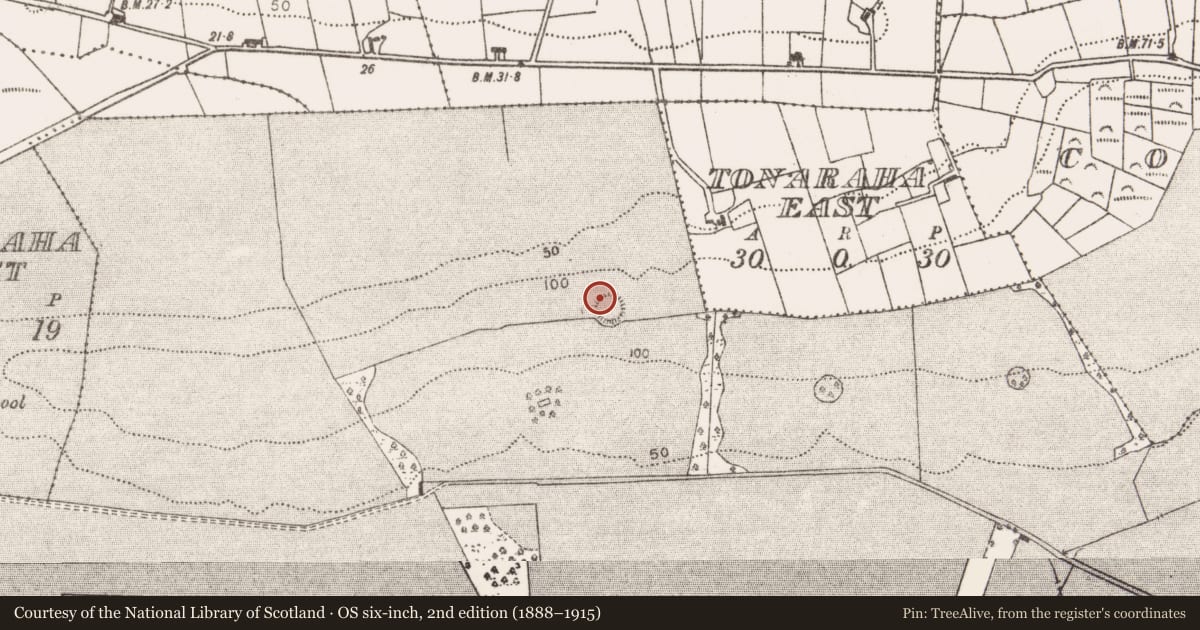 Ordnance Survey six-inch map, 2nd edition (1888–1915) covering the location of Ringfort - rath, Westport Demesne, County Mayo, with a pin at the register's coordinates