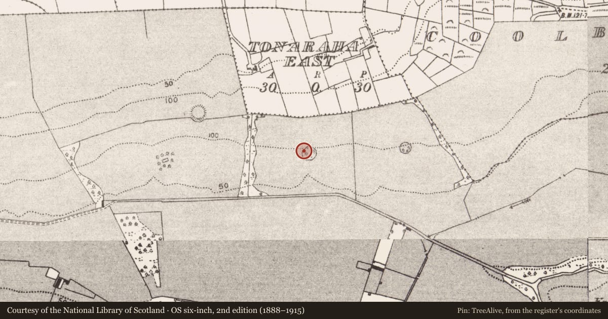 Ordnance Survey six-inch map, 2nd edition (1888–1915) covering the location of Designed landscape - tree-ring, Westport Demesne, County Mayo, with a pin at the register's coordinates