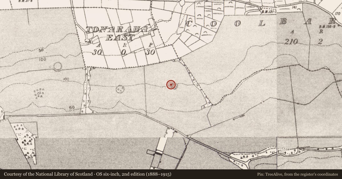 Ordnance Survey six-inch map, 2nd edition (1888–1915) covering the location of Designed landscape - tree-ring, Westport Demesne, County Mayo, with a pin at the register's coordinates