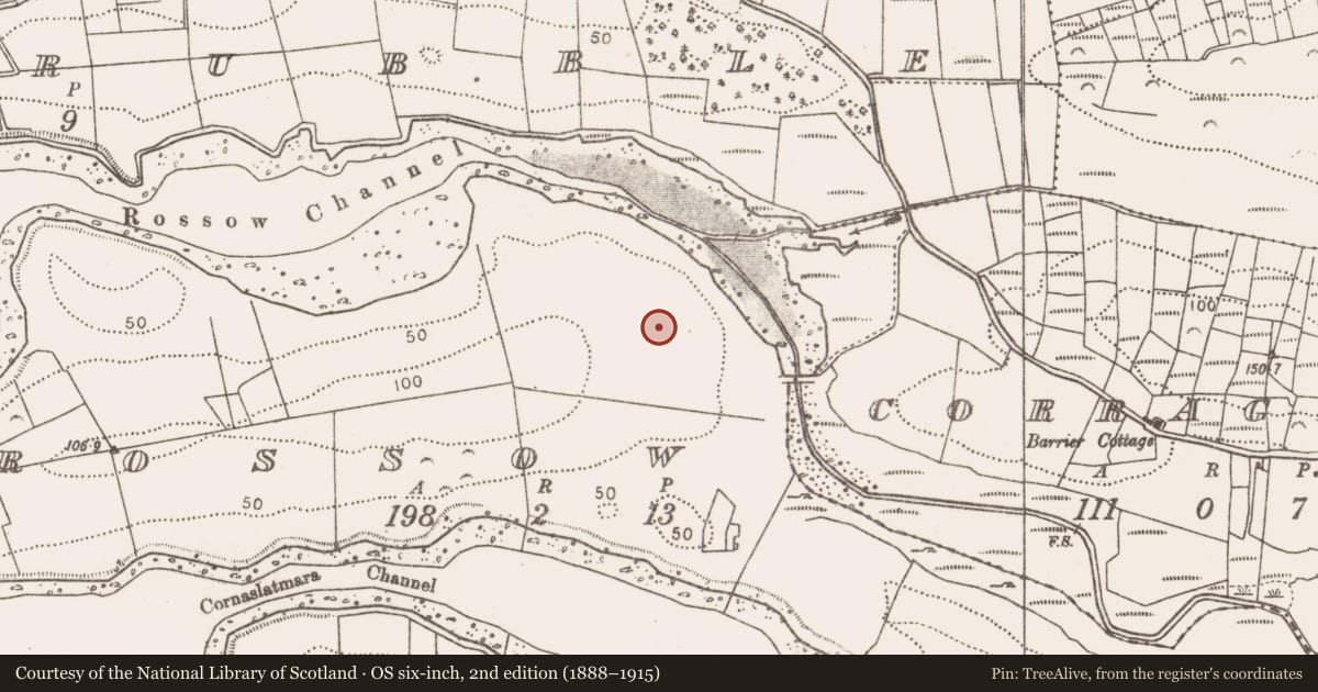 Ordnance Survey six-inch map, 2nd edition (1888–1915) covering the location of Enclosure, Rossow, County Mayo, with a pin at the register's coordinates