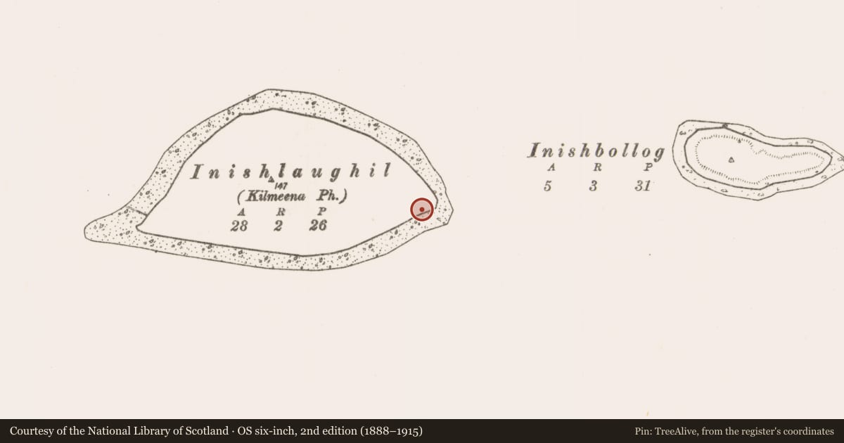 Ordnance Survey six-inch map, 2nd edition (1888–1915) covering the location of Earthwork, Inishlaughil Island, County Mayo, with a pin at the register's coordinates