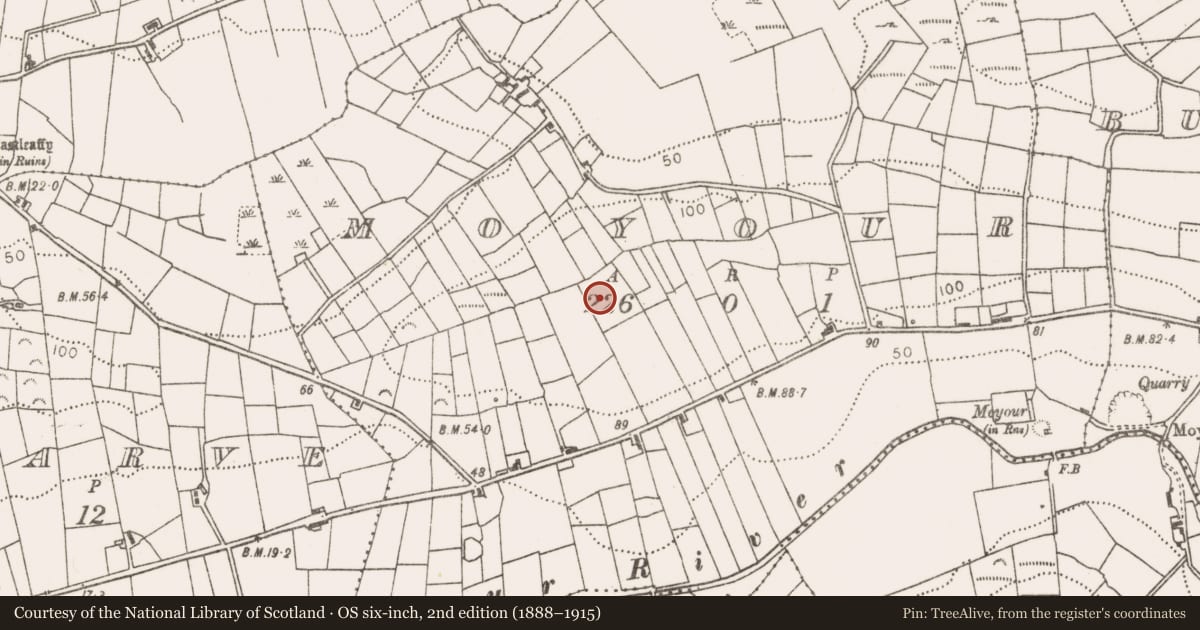Ordnance Survey six-inch map, 2nd edition (1888–1915) covering the location of Ringfort - unclassified, Moyour, County Mayo, with a pin at the register's coordinates