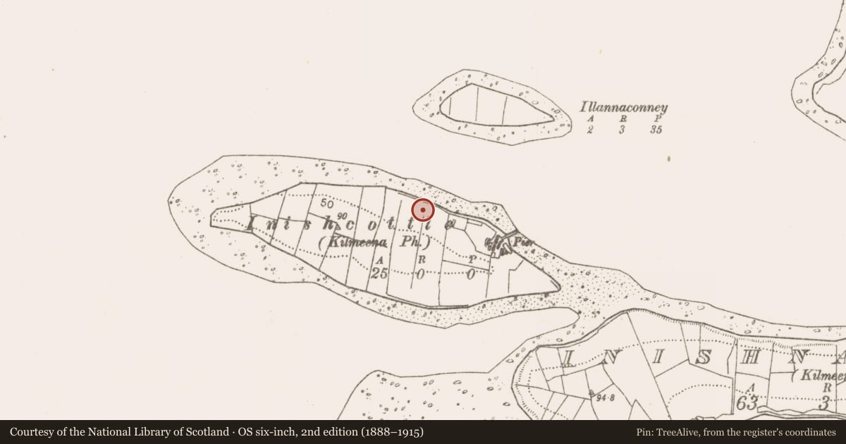 Ordnance Survey six-inch map, 2nd edition (1888–1915) covering the location of Midden, Inishcottle Island, County Mayo, with a pin at the register's coordinates