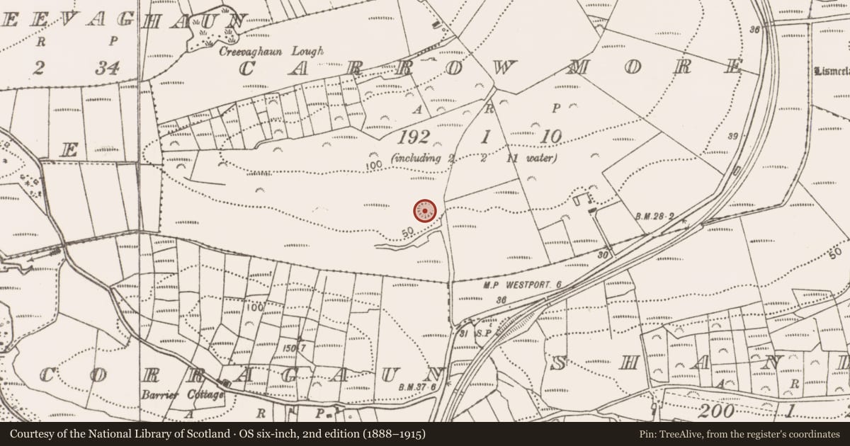 Ordnance Survey six-inch map, 2nd edition (1888–1915) covering the location of Ringfort - unclassified, Carrow More, County Mayo, with a pin at the register's coordinates