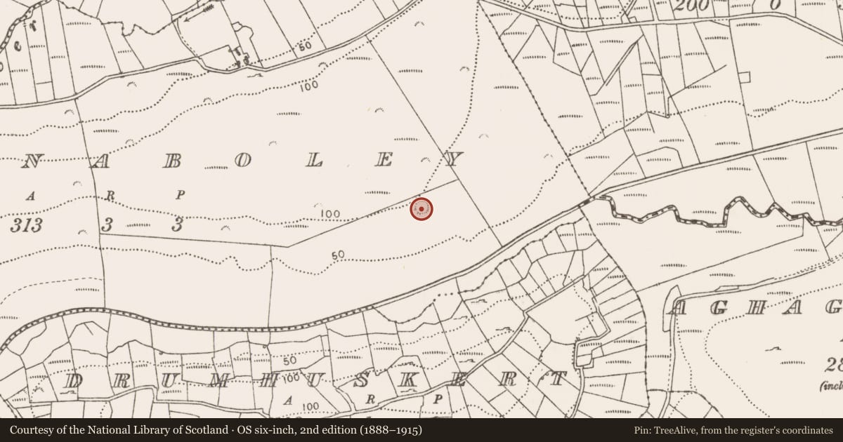 Ordnance Survey six-inch map, 2nd edition (1888–1915) covering the location of Enclosure, Knocknaboley, County Mayo, with a pin at the register's coordinates