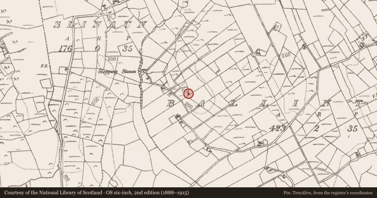 Ordnance Survey six-inch map, 2nd edition (1888–1915) covering the location of Ringfort - rath, Ballintleva, County Mayo, with a pin at the register's coordinates