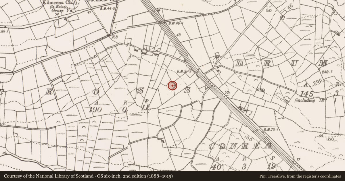 Ordnance Survey six-inch map, 2nd edition (1888–1915) covering the location of Ringfort - rath, Cross, County Mayo, with a pin at the register's coordinates