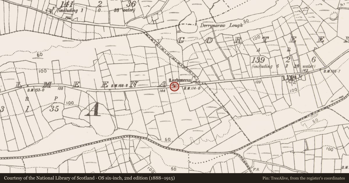 Ordnance Survey six-inch map, 2nd edition (1888–1915) covering the location of Bullaun stone, Roekilmeena, County Mayo, with a pin at the register's coordinates
