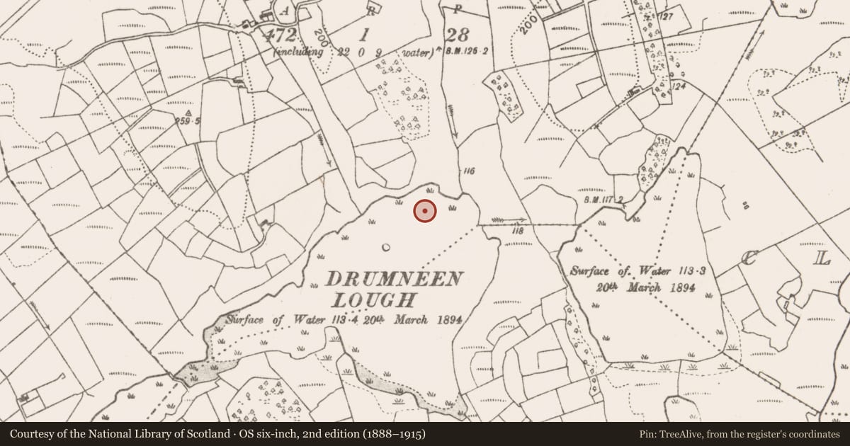 Ordnance Survey six-inch map, 2nd edition (1888–1915) covering the location of Crannog, Cornagashlaun, County Mayo, with a pin at the register's coordinates