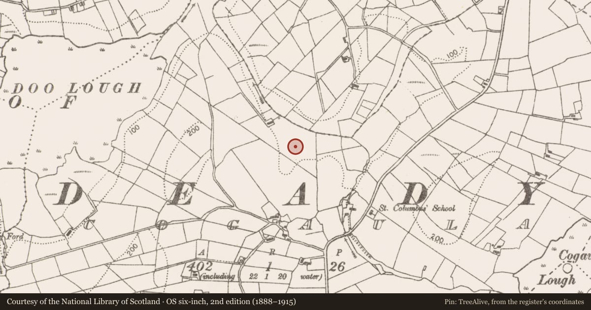 Ordnance Survey six-inch map, 2nd edition (1888–1915) covering the location of Burnt mound, Cogaula, County Mayo, with a pin at the register's coordinates