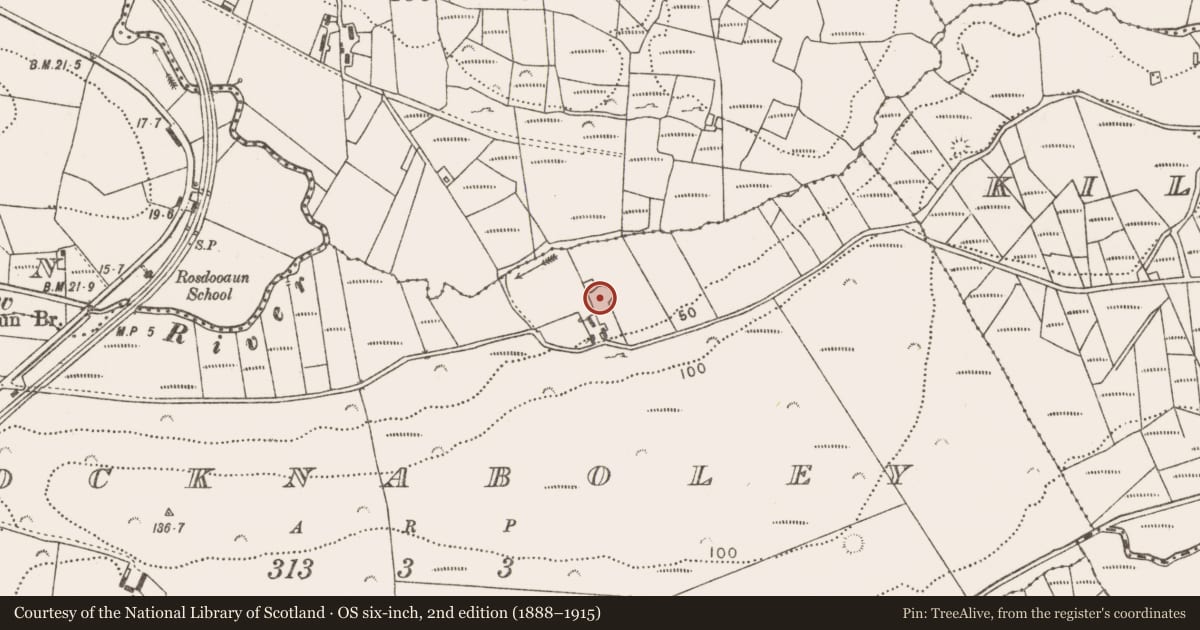 Ordnance Survey six-inch map, 2nd edition (1888–1915) covering the location of Enclosure, Knocknaboley, County Mayo, with a pin at the register's coordinates