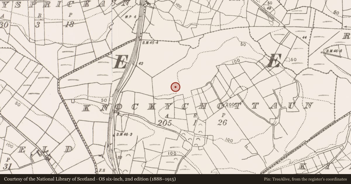 Ordnance Survey six-inch map, 2nd edition (1888–1915) covering the location of Fulacht fia, Knockychottaun, County Mayo, with a pin at the register's coordinates