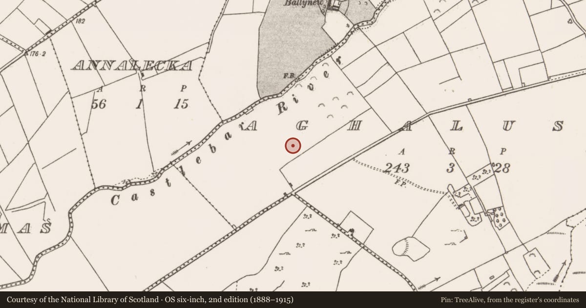 Ordnance Survey six-inch map, 2nd edition (1888–1915) covering the location of Structure, Aghalusky, County Mayo, with a pin at the register's coordinates