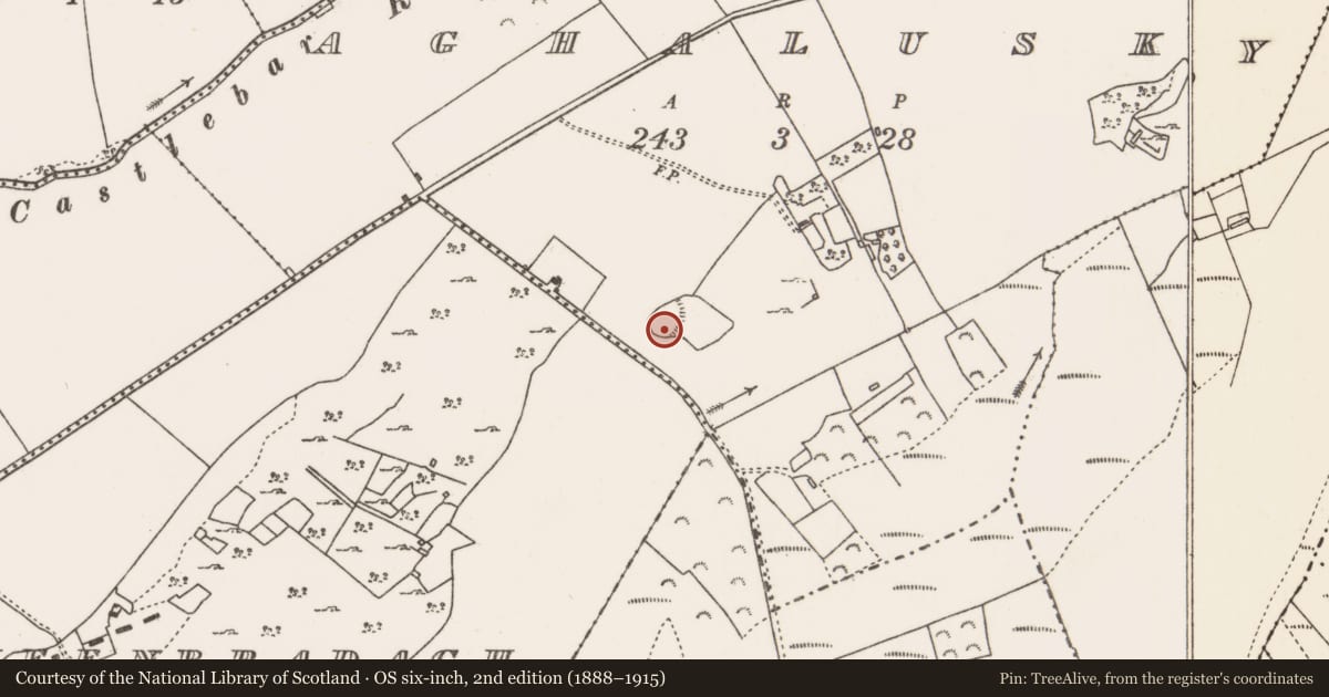Ordnance Survey six-inch map, 2nd edition (1888–1915) covering the location of Enclosure, Aghalusky, County Mayo, with a pin at the register's coordinates