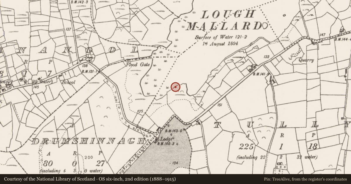 Ordnance Survey six-inch map, 2nd edition (1888–1915) covering the location of Crannog, Tully (Carra By., Aglish Par.), County Mayo, with a pin at the register's coordinates