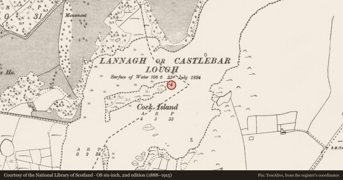 Ordnance Survey six-inch map, 2nd edition (1888–1915) covering the location of Causeway, Lannagh Or Castlebar Lough, County Mayo, with a pin at the register's coordinates