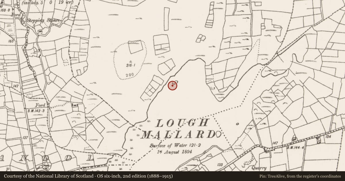 Ordnance Survey six-inch map, 2nd edition (1888–1915) covering the location of Crannog, Tully Commons, County Mayo, with a pin at the register's coordinates