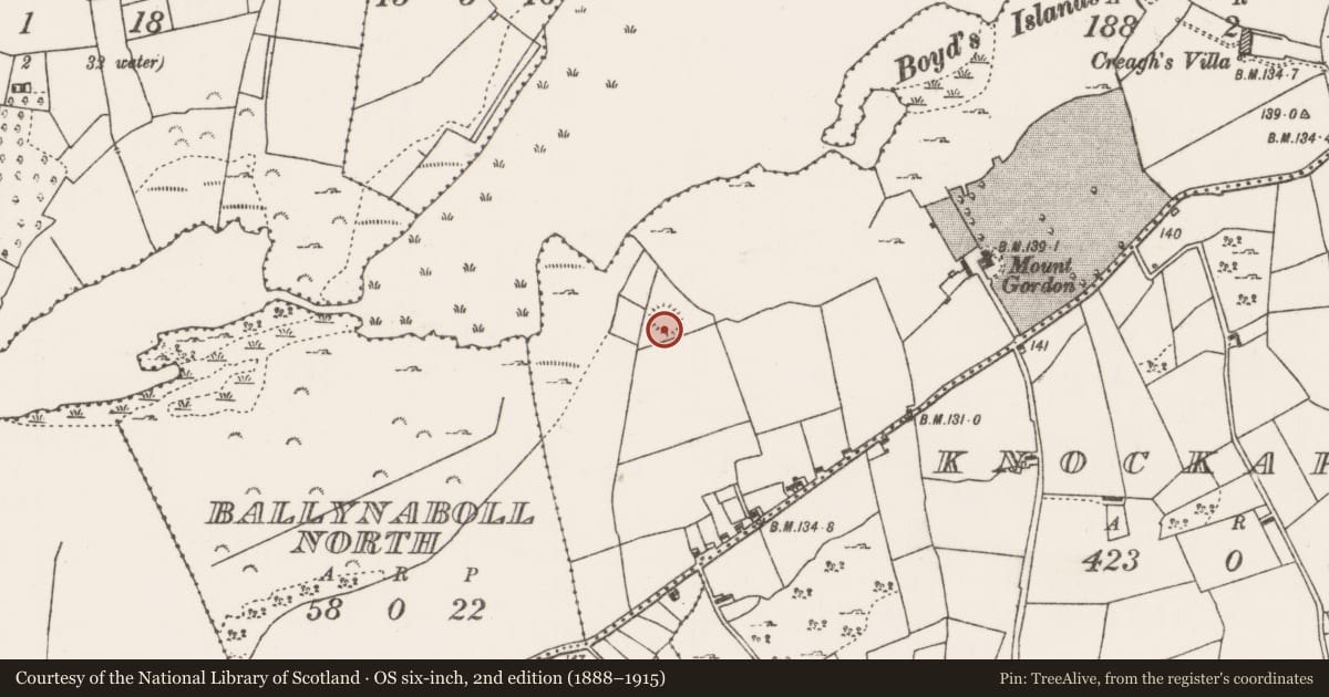 Ordnance Survey six-inch map, 2nd edition (1888–1915) covering the location of Ringfort - rath, Knockacroghery, County Mayo, with a pin at the register's coordinates