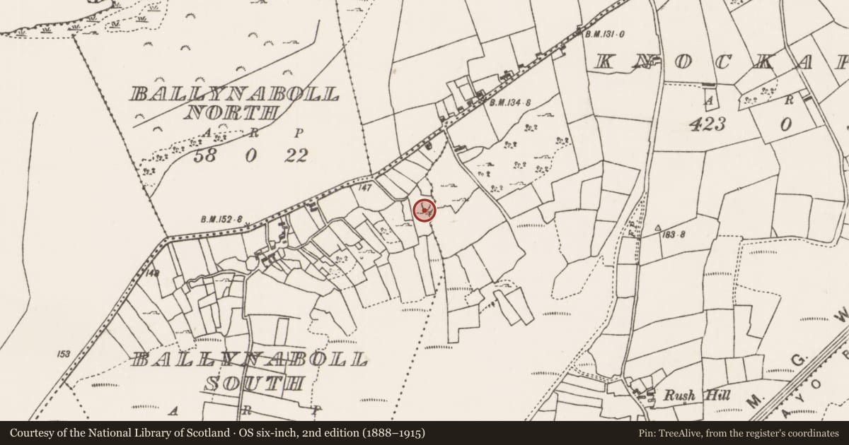 Ordnance Survey six-inch map, 2nd edition (1888–1915) covering the location of Enclosure, Ballynaboll South, County Mayo, with a pin at the register's coordinates