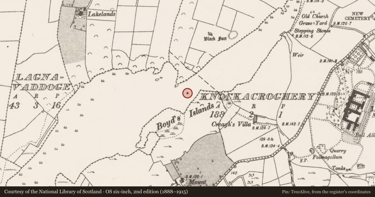 Ordnance Survey six-inch map, 2nd edition (1888–1915) covering the location of Causeway, Lannagh Or Castlebar Lough, County Mayo, with a pin at the register's coordinates